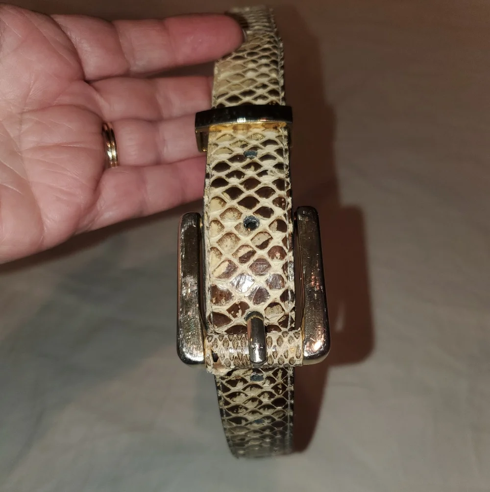 Snakeskin Pattern Belt with Gold Buckle
